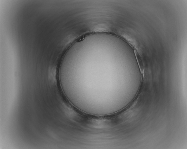 X0000111830201200908061202
