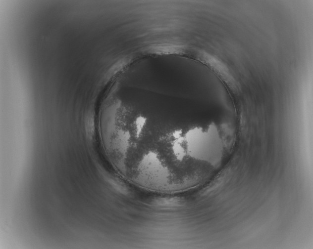 X0000111830202200908061202