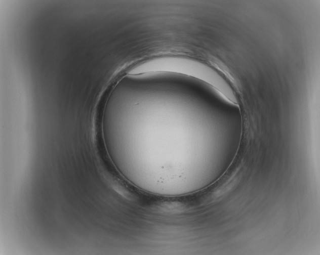X0000111830203200908061202