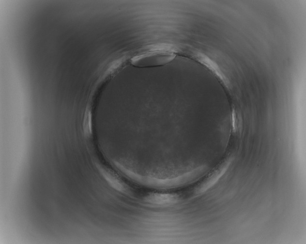 X0000111830205200908061202