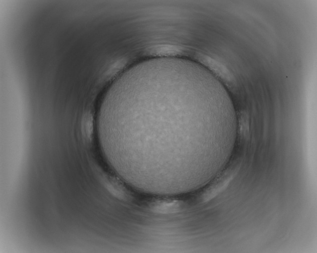 X0000111830206200908061202