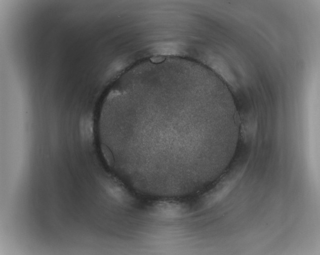 X0000111830207200908061202