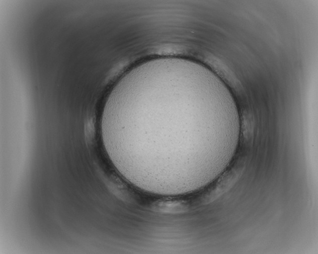 X0000111830208200908061202