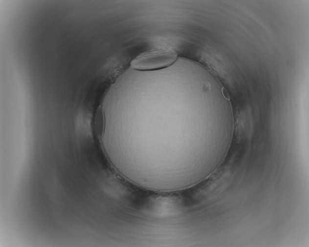 X0000111830209200908061202