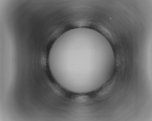 X0000111830210200908061202