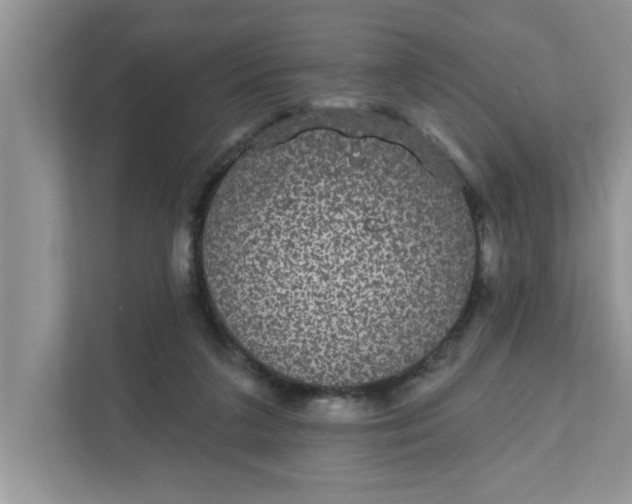 X0000111830211200908061202