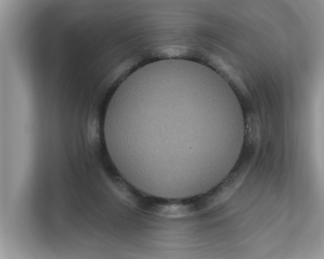 X0000111830212200908061202