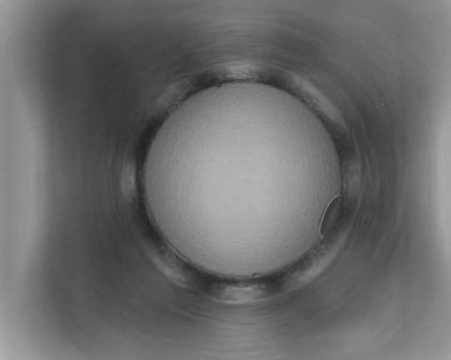X0000111830213200908061202