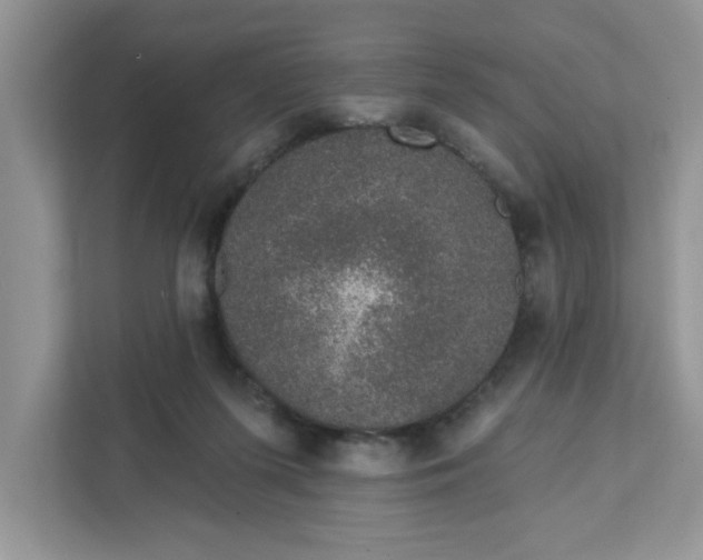 X0000111830215200908061202