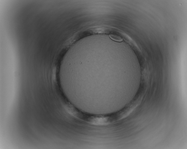 X0000111830217200908061202