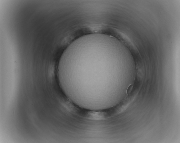 X0000111830221200908061202