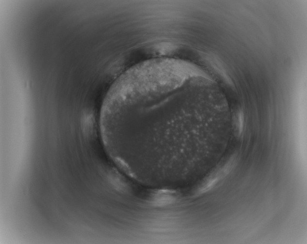 X0000111830222200908061202