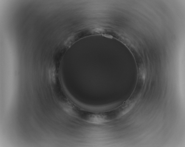 X0000111830223200908061202