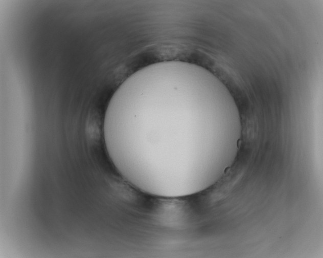 X0000111830226200908061202