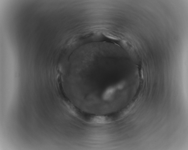X0000111830227200908061202