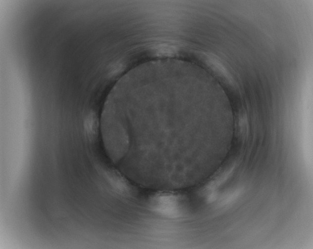 X0000111830228200908061202
