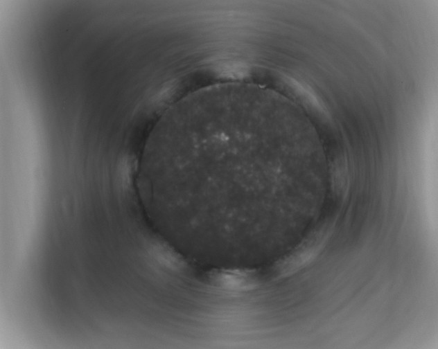 X0000111830229200908061202