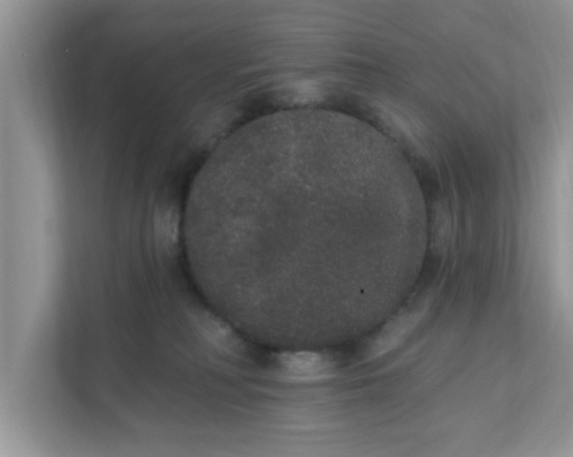 X0000111830230200908061202