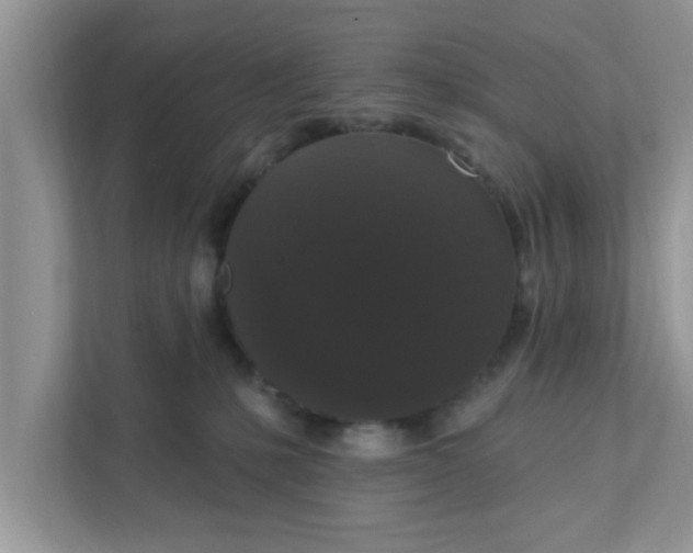 X0000111830231200908061202