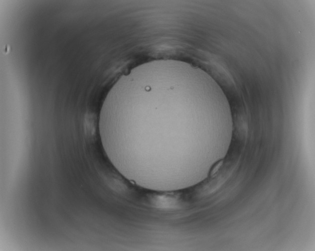 X0000111830232200908061202