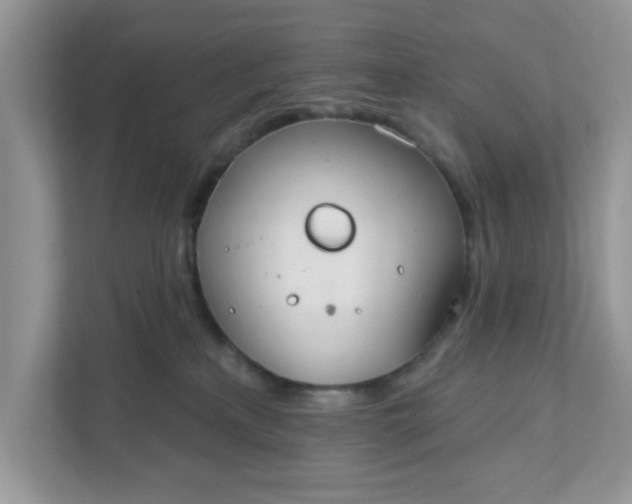 X0000111830233200908061202