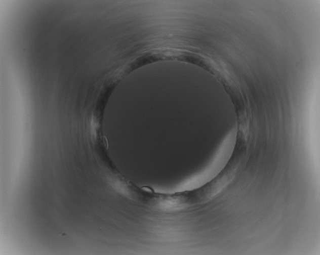 X0000111830235200908061202