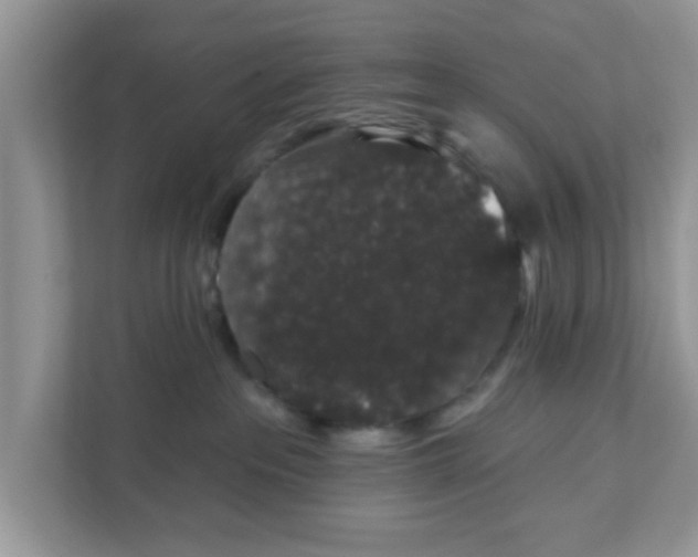 X0000111830237200908061202