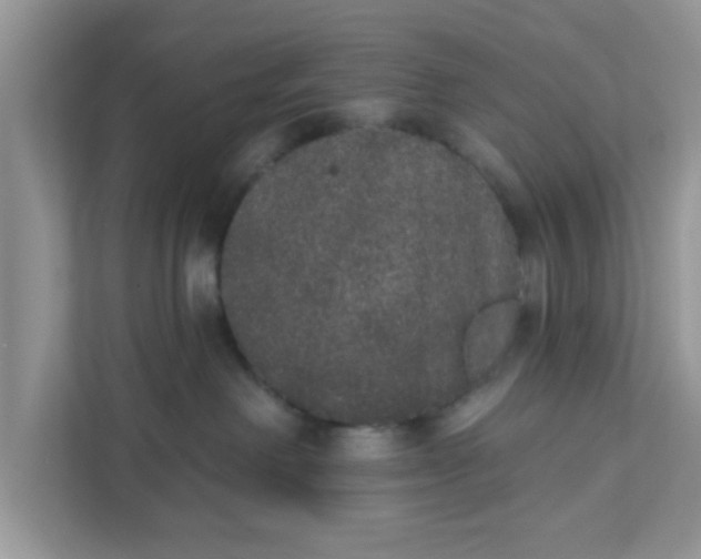 X0000111830238200908061202