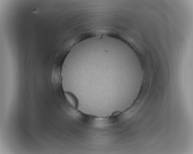 X0000111830240200908061202