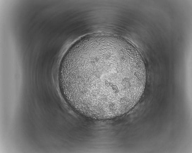 X0000111830241200908061201