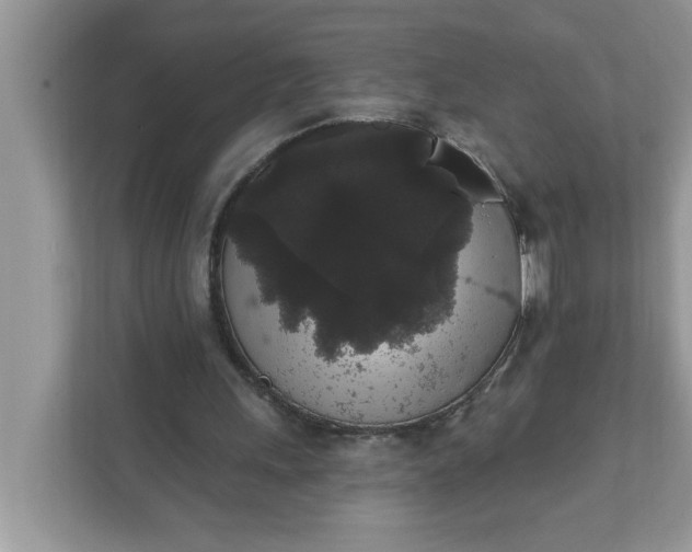 X0000111830243200908061201