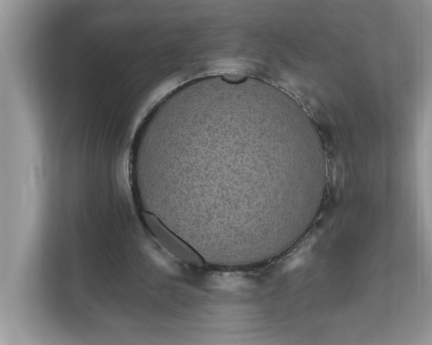 X0000111830244200908061201