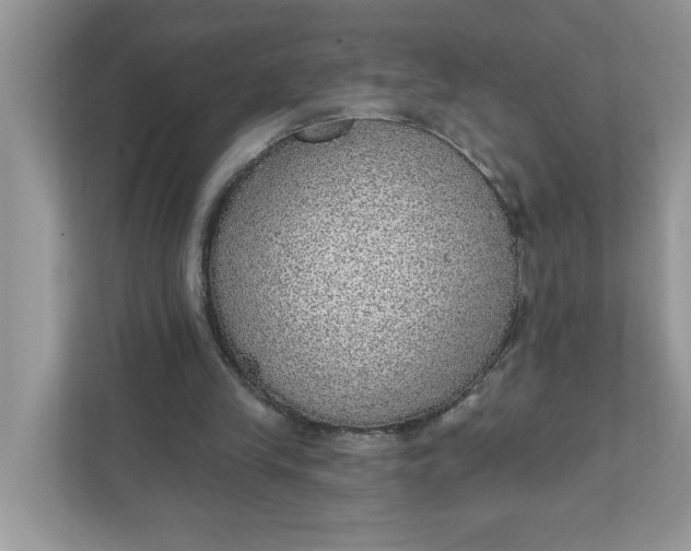 X0000111830245200908061201