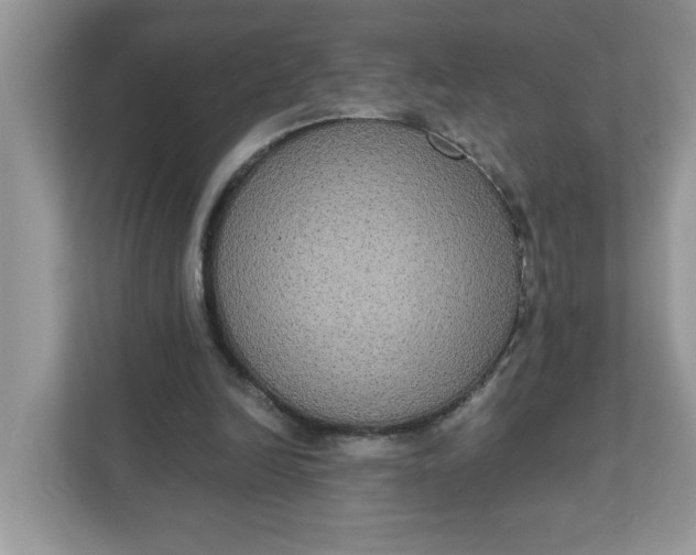 X0000111830246200908061201
