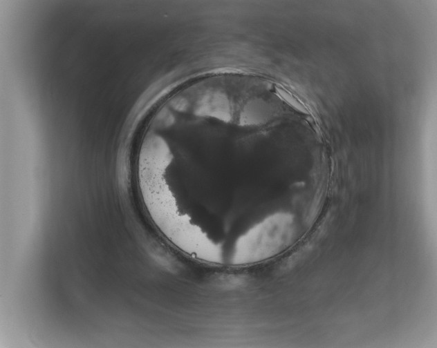 X0000111830247200908061201