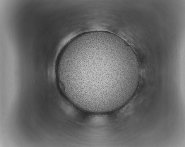 X0000111830248200908061201