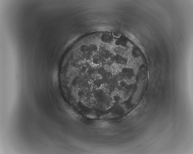 X0000111830249200908061201