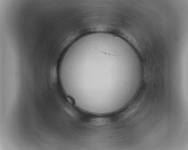 X0000111830251200908061201