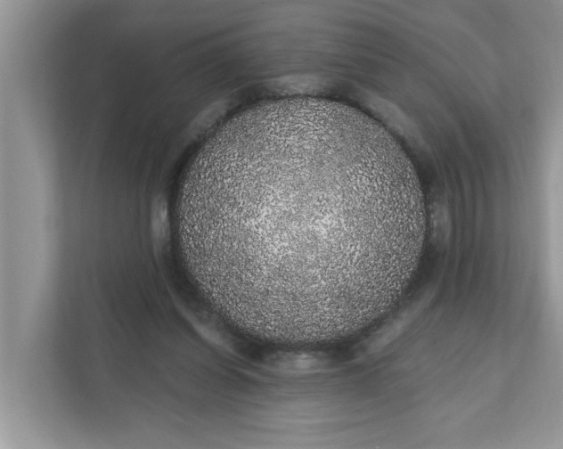 X0000111830254200908061201