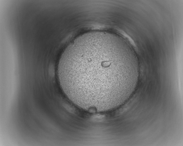 X0000111830257200908061201