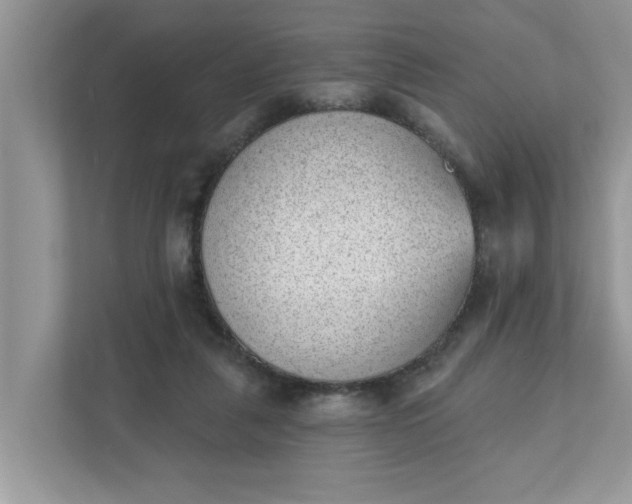 X0000111830259200908061201