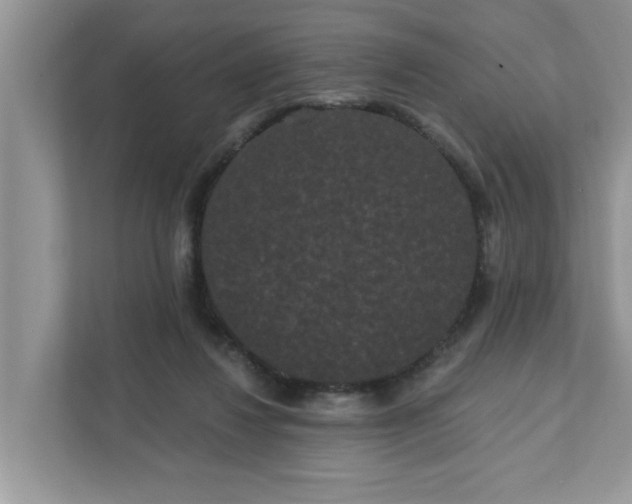 X0000111830260200908061201