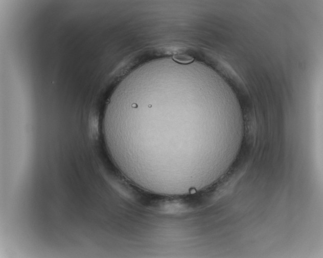 X0000111830262200908061201