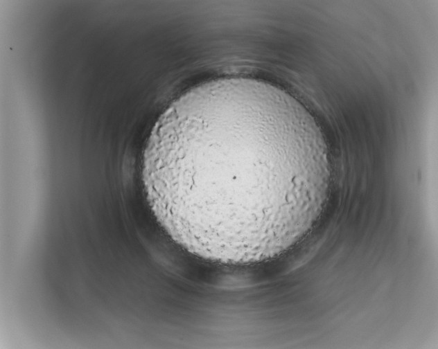 X0000111830263200908061201