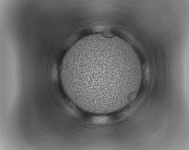 X0000111830266200908061201