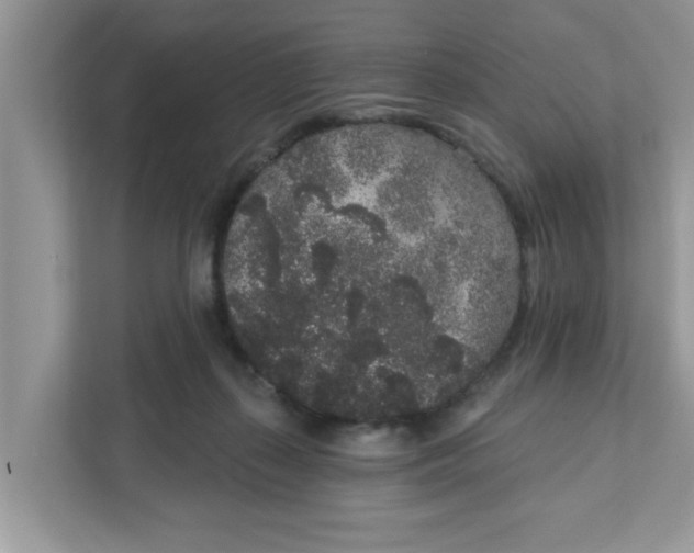 X0000111830267200908061201