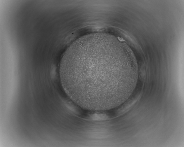 X0000111830270200908061201