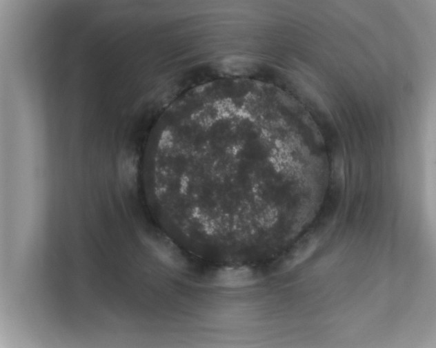 X0000111830271200908061201