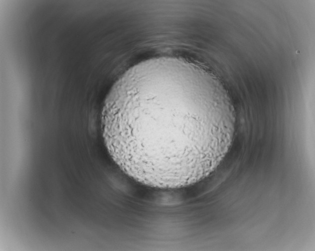 X0000111830275200908061201