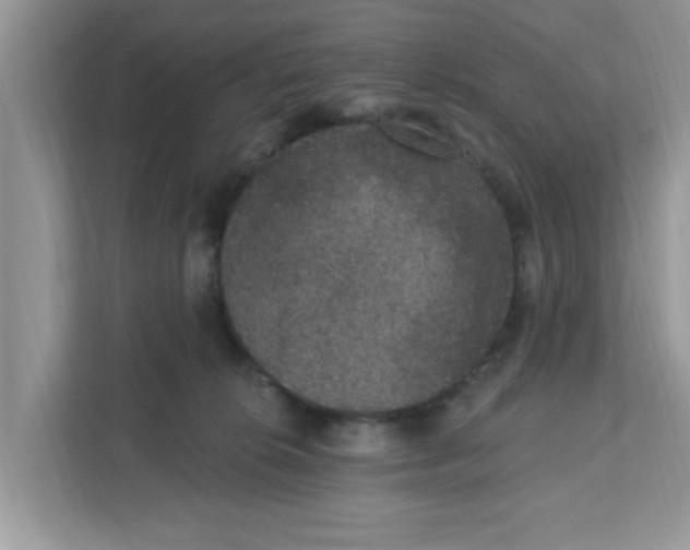 X0000111830276200908061201